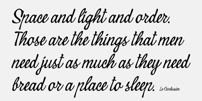 PF Signskript Font Poster 4