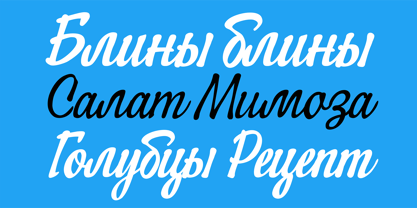 PF Signskript Font Poster 8