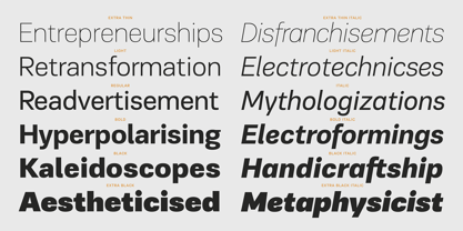 PF Encore Sans Pro Font Poster 6