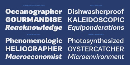 PF Encore Sans Pro Font Poster 8