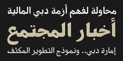 PF Nuyork Arabic Font Poster 3