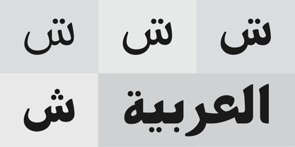 PF Nuyork Arabic Font Poster 2