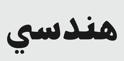 PF Nuyork Arabic Font Poster 4