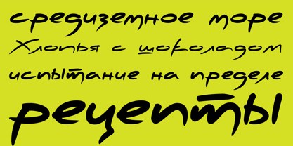 PF Scandal Pro Font Poster 5