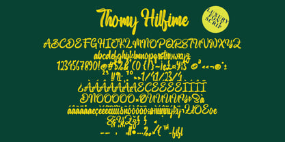 Thomy Hilfime Font Poster 2