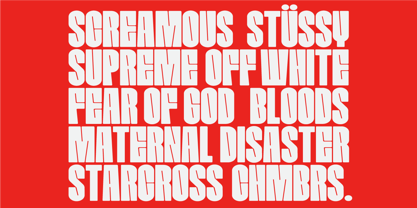 Roxhead Font Poster 9