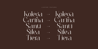 Roilra Font Poster 6