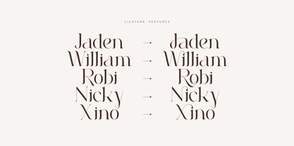 Roilra Font Poster 9