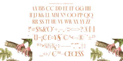 Mecoka Groove Font Poster 15