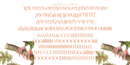 Mecoka Groove Font Poster 14
