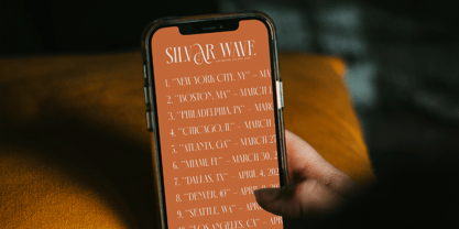 Mecoka Groove Font Poster 8