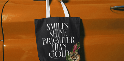 Mecoka Groove Font Poster 13