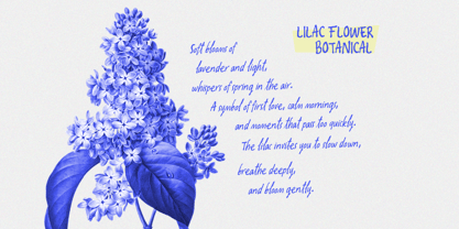 Oliver Whisper Font Poster 7