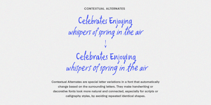 Oliver Whisper Font Poster 9
