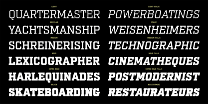 PF Synch Pro Font Poster 8