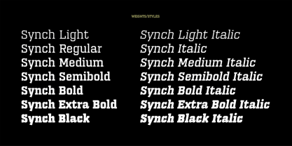 PF Synch Pro Font Poster 6