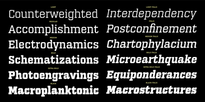 PF Synch Pro Font Poster 4