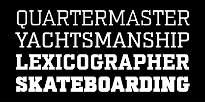 PF Synch Pro Font Poster 7