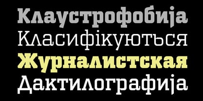 PF Synch Pro Font Poster 11