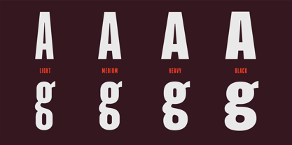 PF Fusion Sans Pro Font Poster 6