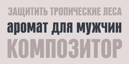 PF Fusion Sans Pro Font Poster 13