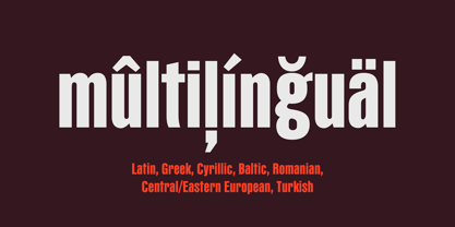 PF Fusion Sans Pro Font Poster 11