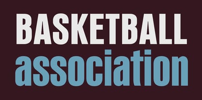 PF Fusion Sans Pro Font Poster 3