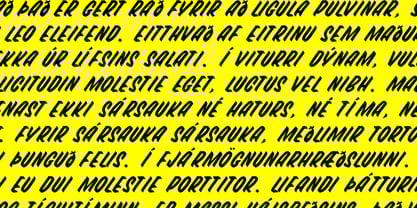 BG Casual Font Poster 4