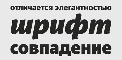 PF Adamant Sans Pro Font Poster 11