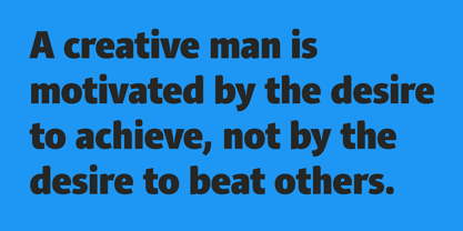 PF Adamant Sans Pro Font Poster 8