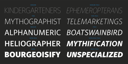 PF Adamant Sans Pro Font Poster 7