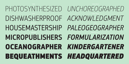 PF Square Sans Condensed Pro Font Poster 6