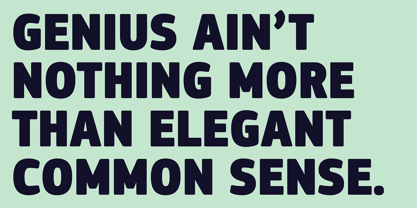 PF Square Sans Condensed Pro Font Poster 2