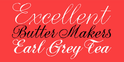 PF Rafskript Font Poster 3