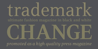 PF Press Font Poster 3