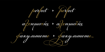 PF Champion Script Pro Font Poster 5