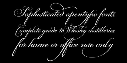 PF Champion Script Pro Font Poster 9