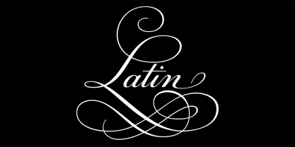 PF Champion Script Pro Font Poster 7