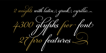 PF Champion Script Pro Font Poster 3