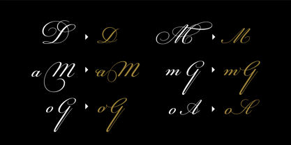 PF Champion Script Pro Font Poster 6