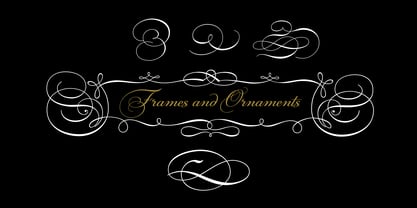 PF Champion Script Pro Font Poster 4