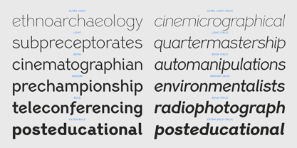 PF Lindemann Sans Font Poster 5