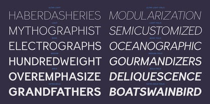 PF Lindemann Sans Font Poster 7