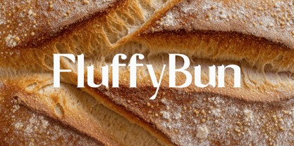 Zyvara Font Poster 10