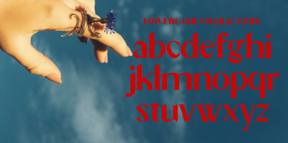 Zyvara Font Poster 4