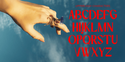 Zyvara Font Poster 2