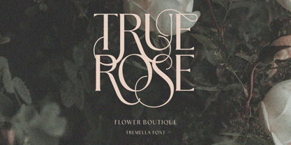 Tremella Font Poster 2