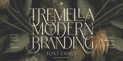 Tremella Font Poster 1