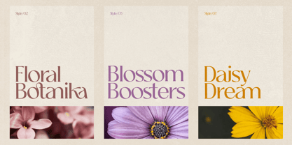 Tremella Font Poster 3