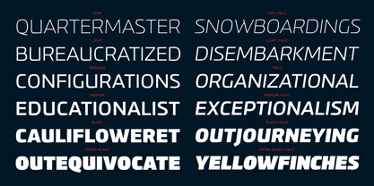 PF Benchmark Pro Font Poster 9